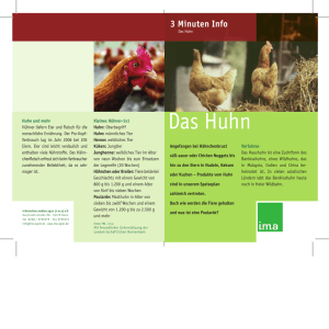 Das Huhn - information.medien.agrar eV