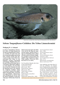 Seltene Tanganjikasee-Cichliden: Die Tribus Limnochromini