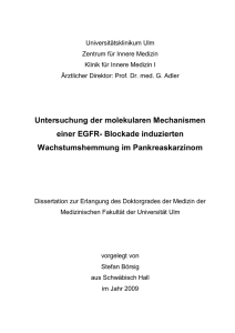 Untersuchung der molekularen Mechanismen einer EGFR