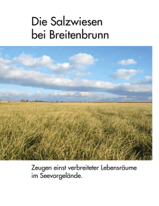 Die Salzwiesen bei Breitenbrunn - Tourismusverband Breitenbrunn