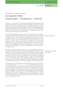 Europawahl 2009: Erwartungen – Programme – Visionen