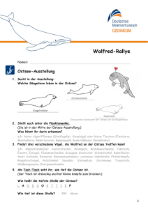 Walfred-Rallye