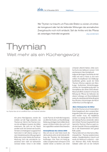 Thymian - Jürg Lendenmann