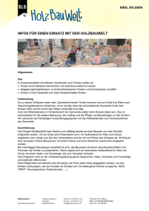 Infos für Veranstalter HolzBauWelt pdf