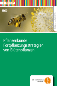 Pflanzenkunde Fortpflanzungsstrategien von Blütenpflanzen