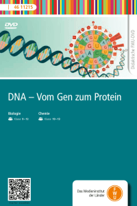 DNA – Vom Gen zum Protein