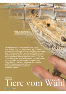 Tierbörsen - Deutscher Tierschutzbund
