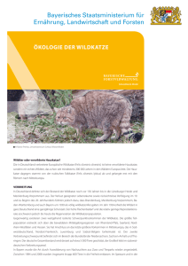 ökologie der wildkatze - StMELF