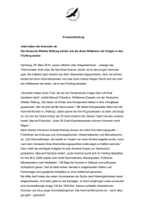 Pressemitteilung Jetzt heben die Hummeln ab Die Deutsche Wildtier