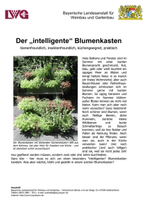 „intelligente“ Blumenkasten - Bayerische Landesanstalt für Weinbau