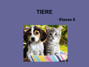 TIERE