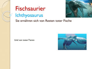 Fischsaurier Ichtyosaurus