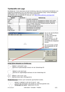 Benutzerdefinierte Prozeduren zum Zeichnen von Turtlegrafiken