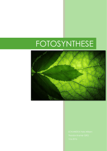 fotosynthese - WordPress.com