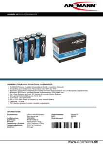 1502-0005_Lithium-Industrial-Battery-Mignon