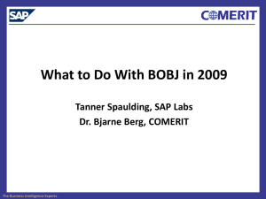 SAP-COMERIT_BOBJ_for_2009_v4