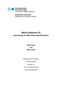 Multi-Collective I/O - Prof. Dr. Rudolf Berrendorf