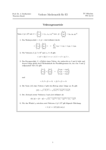 Vektorgeometrie - TUM Mathematik