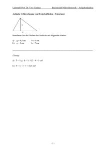 Aufgabe 1 (Berechnung von Dreiecksflächen)