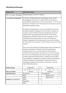 Modulbeschreibungen Modul M1.1 SoP Erstes Fach - FK14