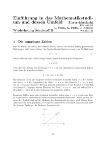 Einführung in das Mathematikstudi