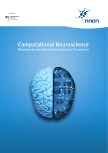 Angst l&auml;sst sich kaum verlernen - Bernstein Netzwerk Computational