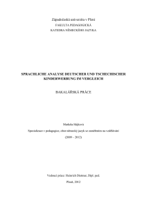 Z&aacute;padočesk&aacute; univerzita v Plzni SPRACHLICHE ANALYSE