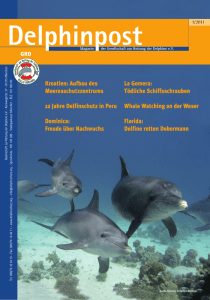 Kroatien: Aufbau des Meeresschutzzentrums 12 Jahre Delfinschutz