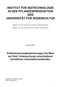 Untersuchung verschiedener k&uuml;nstlicher Inokulationsmethoden