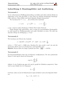 Laborübung 3: Rundungsfehler und Auslöschung
