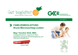 Vorstellung der Familienbegleitung (Weiß)