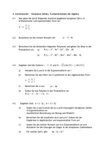 4. Schwerpunkt: Komplexe Zahlen, Fundamentalsatz der Algebra