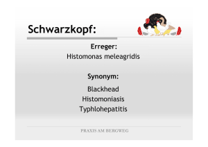 Schwarzkopf: - Praxis Am Bergweg