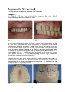 Angewandte Biomechanik - Prinzipien der