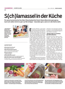 130402_S(ch)lamassel_in_der_Küche