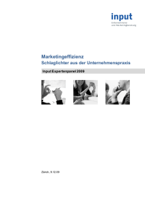 Marketingeffizienz - Input Consulting AG