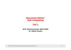 Neuronale Netze/ Soft Computing Teil 1