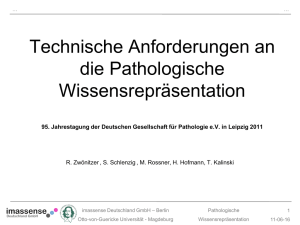 Vortrag Deutscher Pathologentag 2011, Leipzig