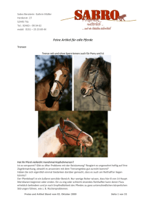 Feine Artikel für edle Pferde