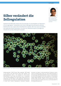 Eawag News 73: Silber verändert die Zellregulation