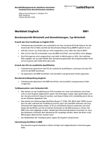 Merkblatt Englisch BM1