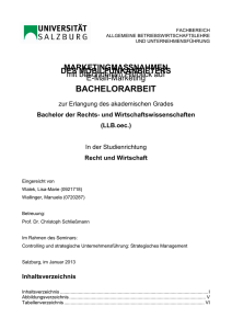Walek Wallinger Bachelorarbeit Marketing