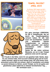 tempel projekt april 2015 - The Dog Rescue Center Samui