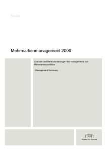 Mehrmarkenmanagement 2006