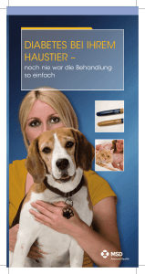 Diabetes Infobroschüre für Tierhalter