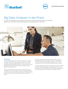 Big Data-Analysen in der Praxis