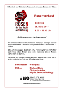 100`000 Rosen für die Menschenrechte