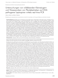 Untersuchungen von wildlebenden Kleins&auml;ugern und
