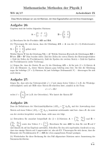 Arbeitsblatt IX: Matrizen