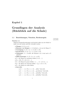 Grundlagen der Analysis (Rückblick auf die Schule)